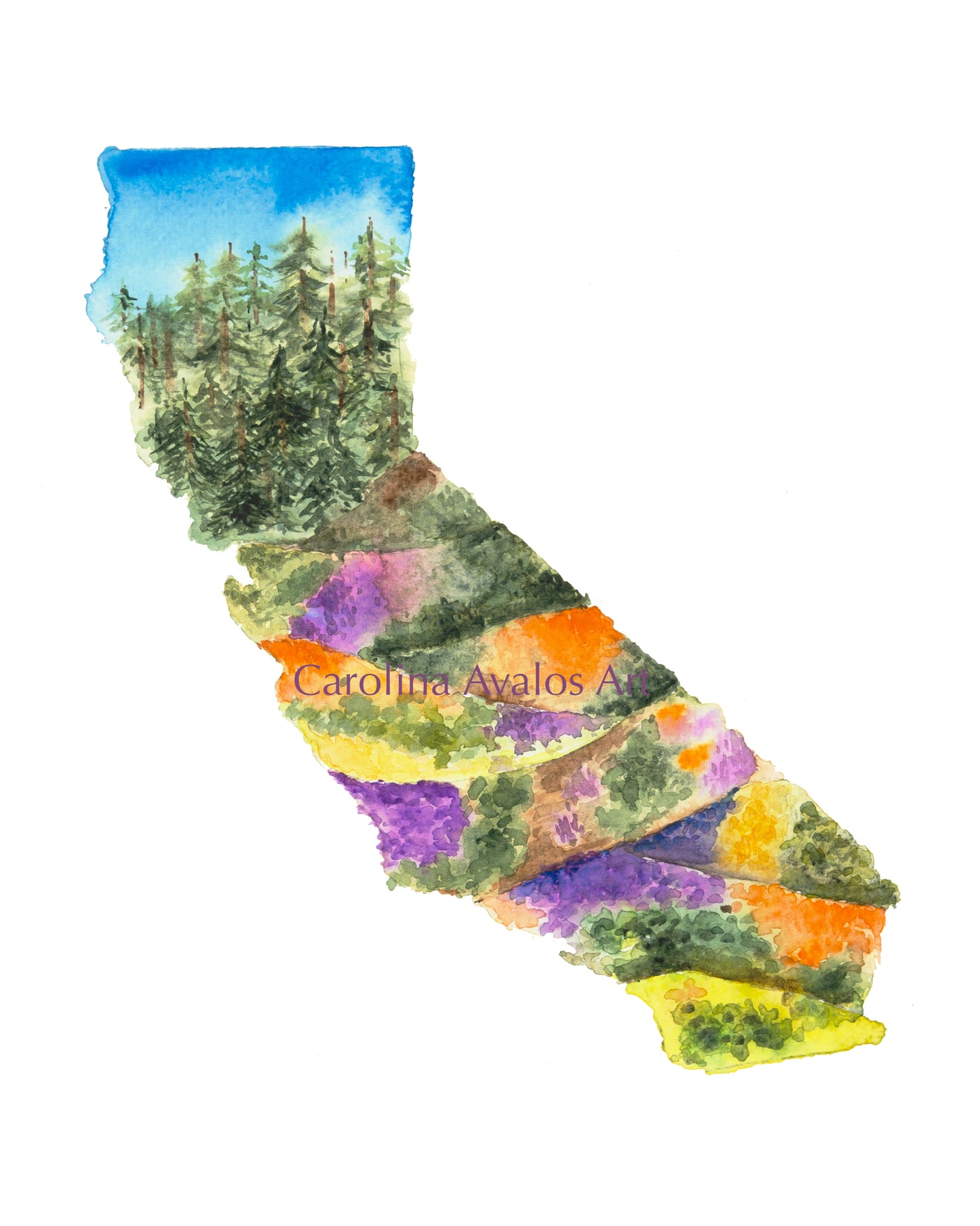 California Super Bloom 2 - Gicleé Print