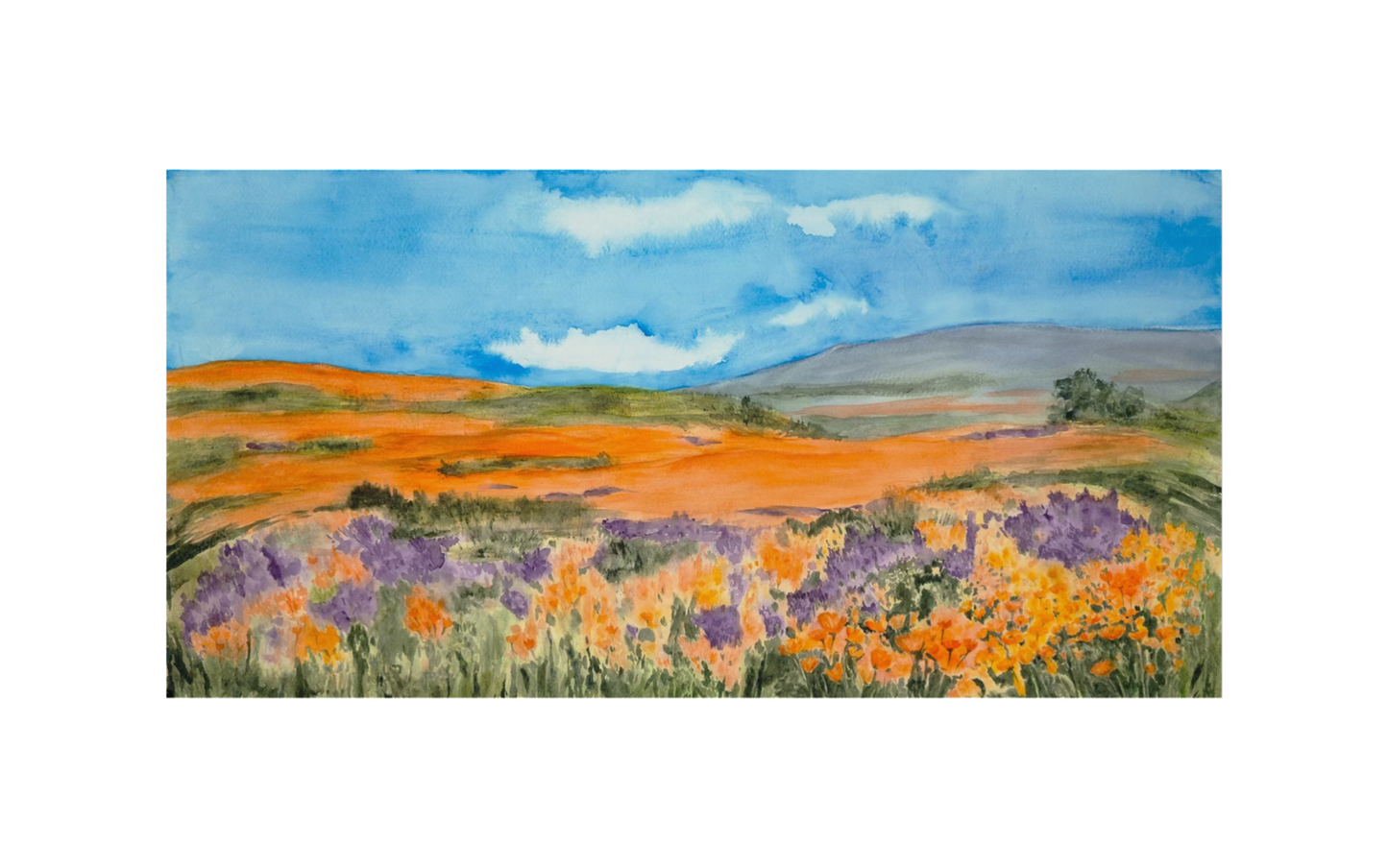 Wild Hills