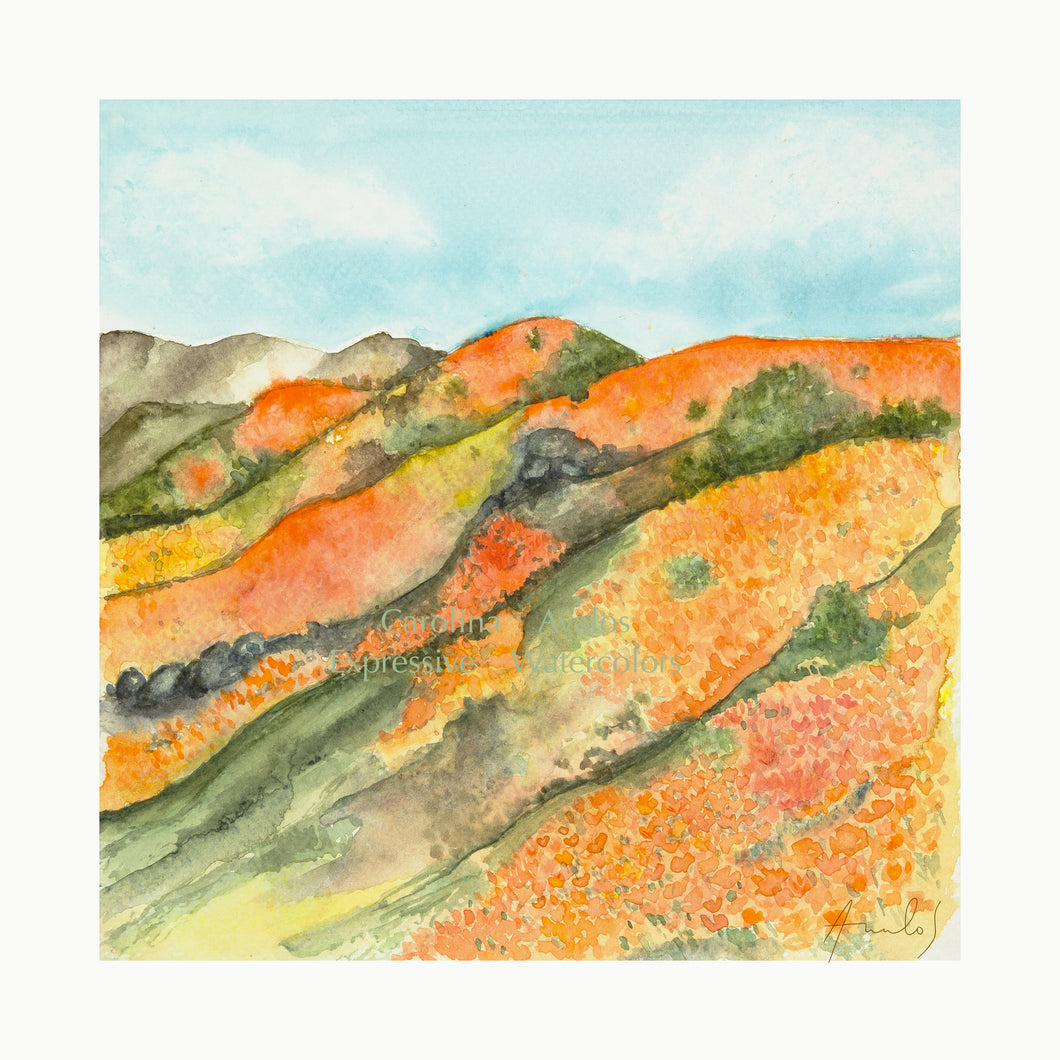 Antelope Valley Super Bloom Giclee Print