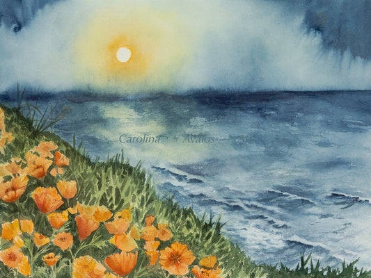Coast sunset- Gicleé Print