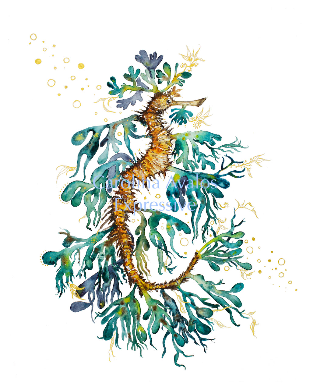 Leafy Seahorse - Gicleé Print