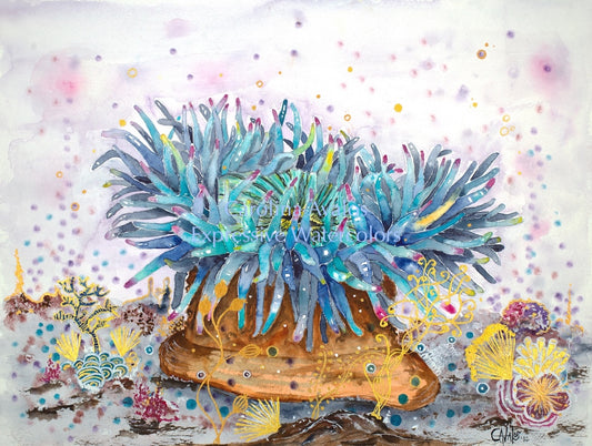 Sea Anemone - Gicleé Print