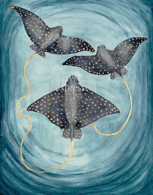 Eagle Ray - Gicleé Print